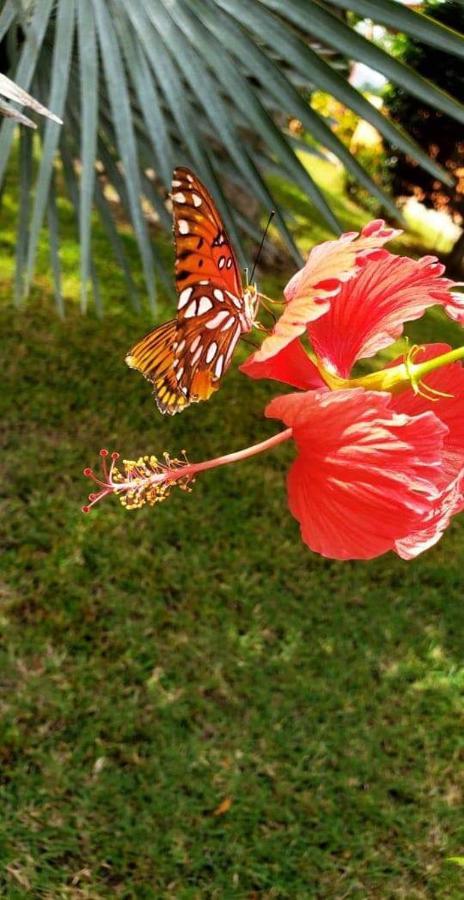 Villas Guanacaste Потреро Екстериор снимка
