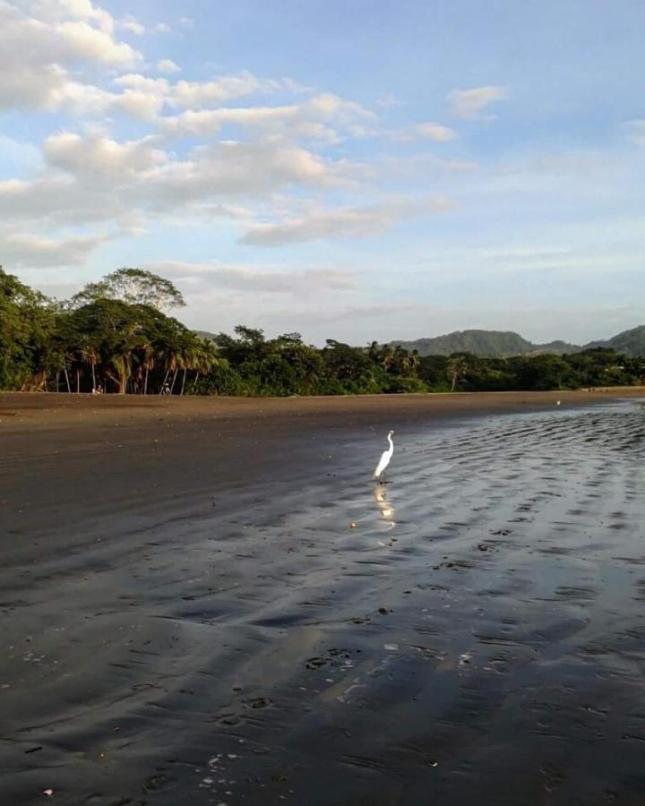 Villas Guanacaste Потреро Екстериор снимка